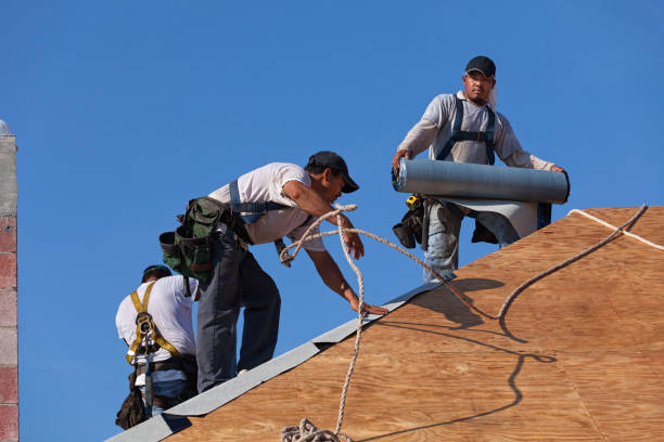 Best Roof Gutter Cleaning  in Beattystown, NJ